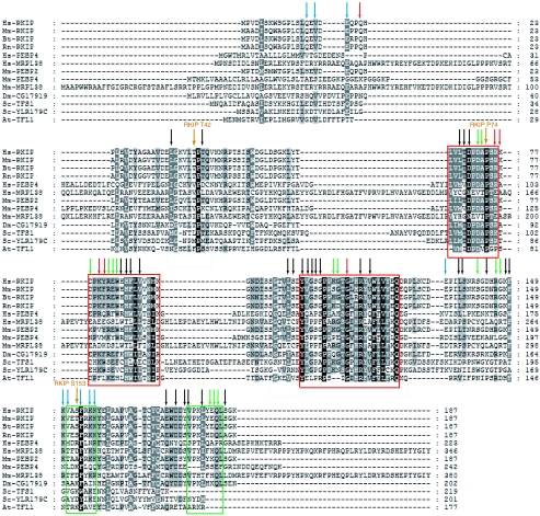 FIG. 4.