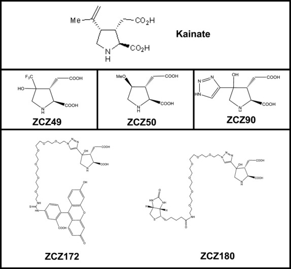 Fig 3