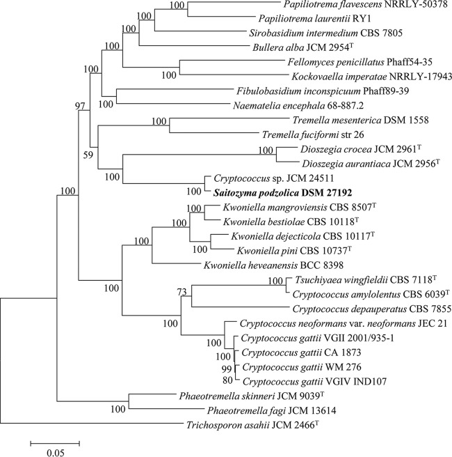 FIG 1