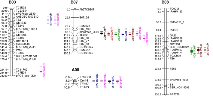 Fig. 3