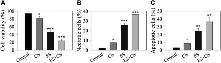 FIGURE 3