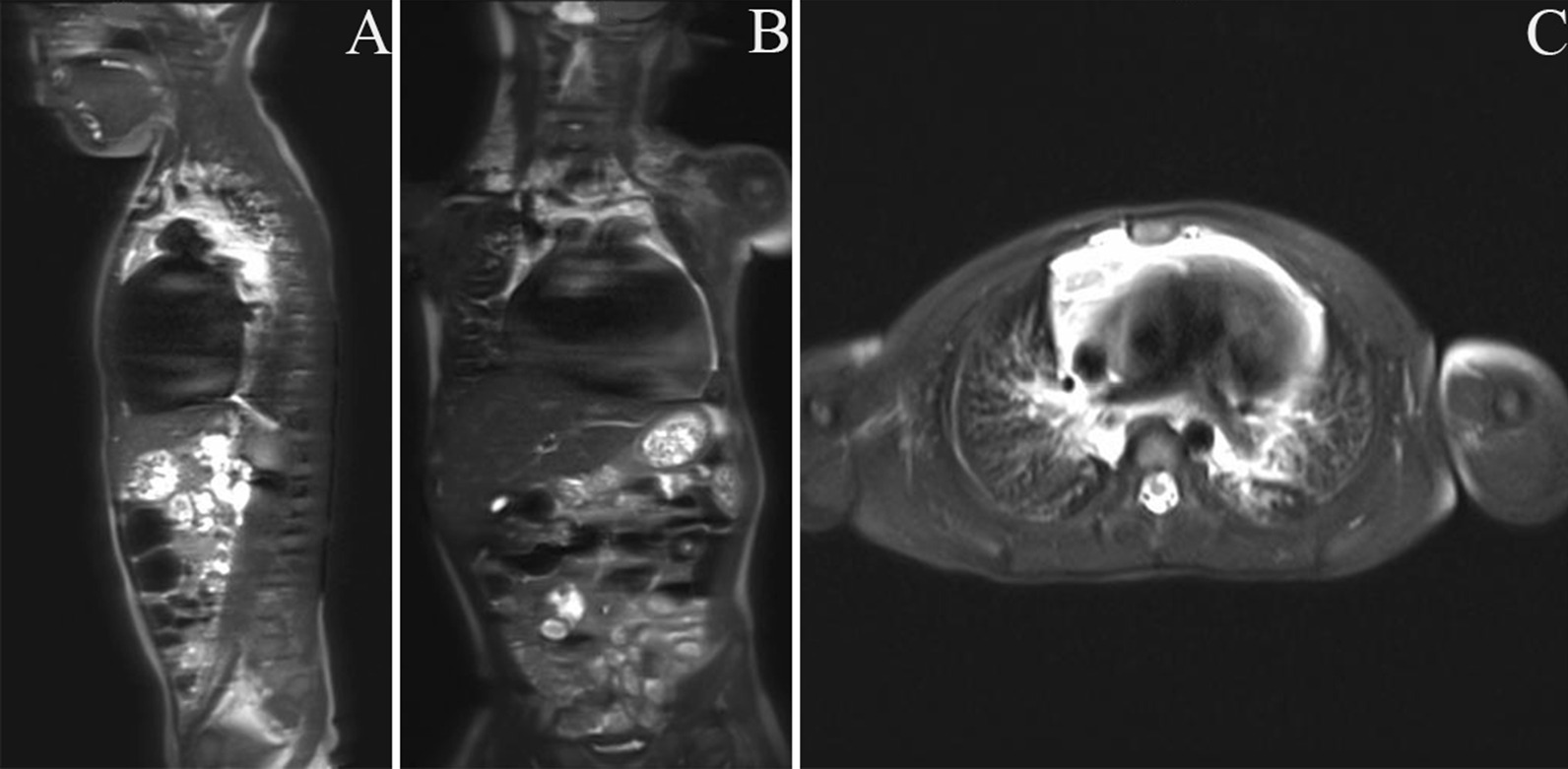 Fig. 3