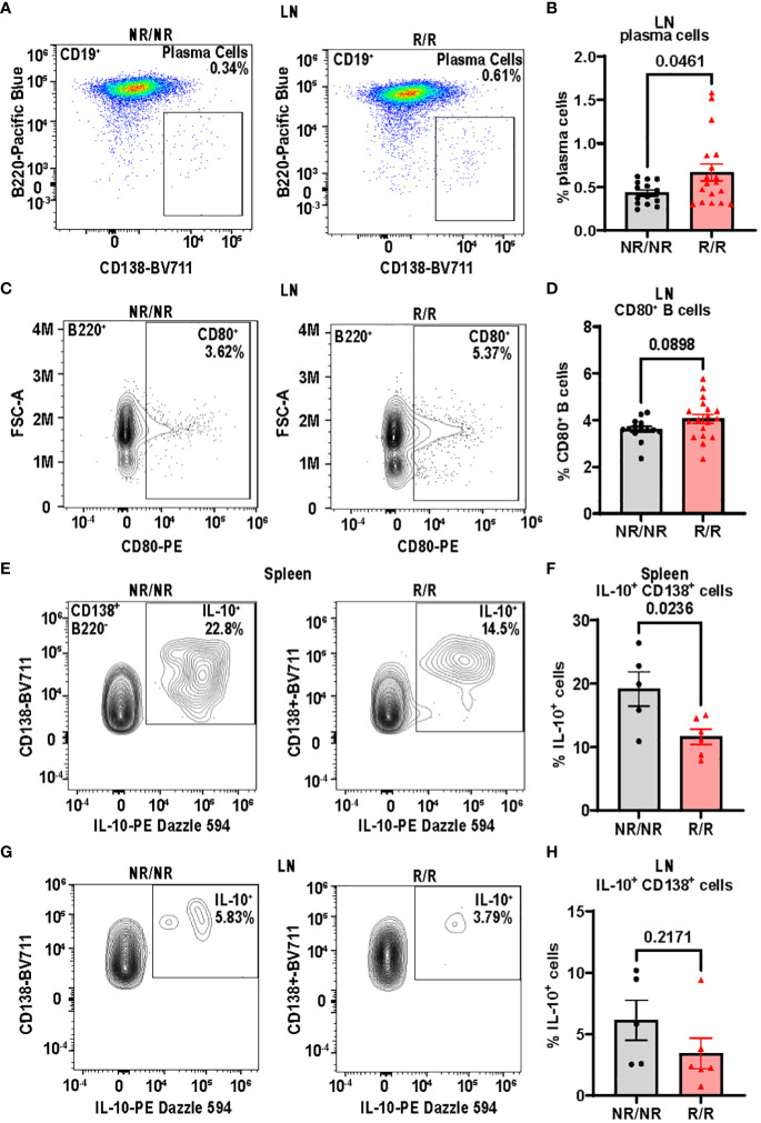 Figure 6