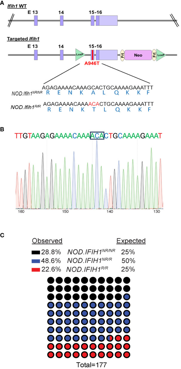 Figure 1