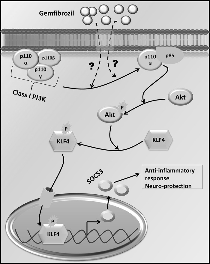 FIGURE 10.