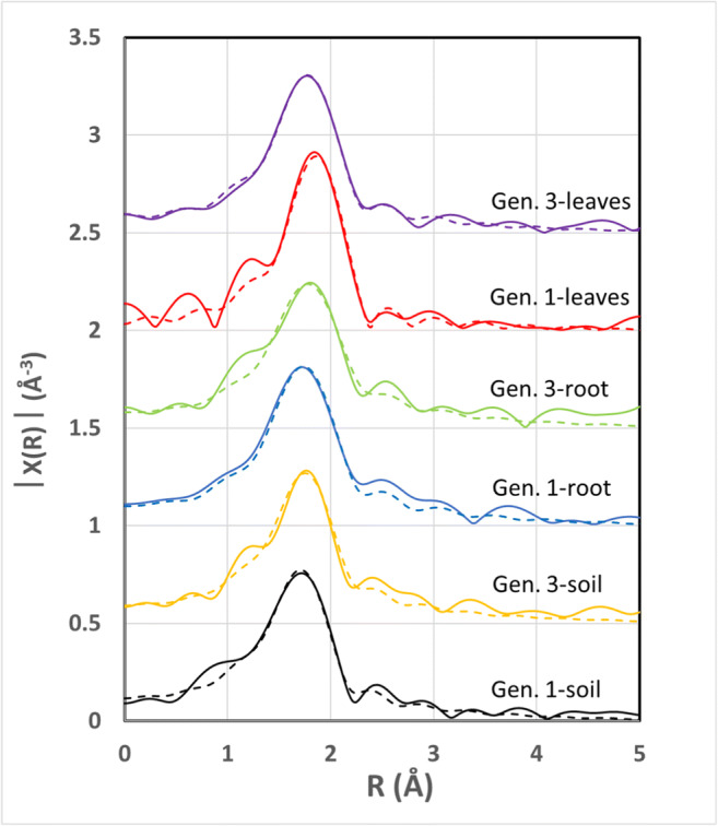 Fig. 4