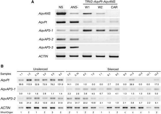 Figure 7.