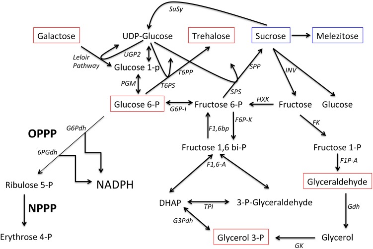 Fig 10