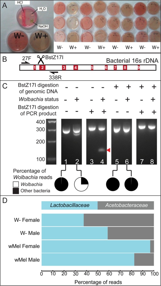 FIG 1 