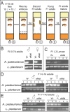 FIG 2