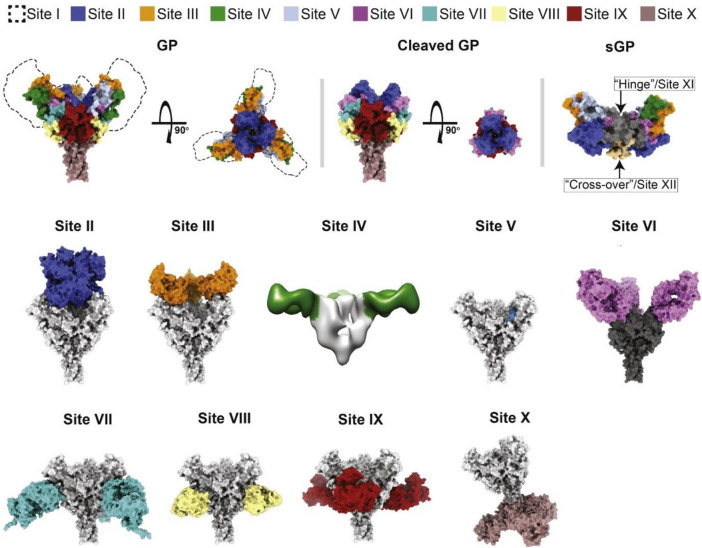 FIGURE 3