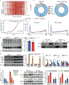 Extended Data Fig. 6 |
