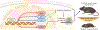 Fig. 8 |