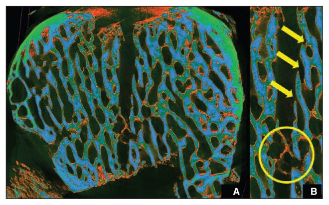 Fig. 6