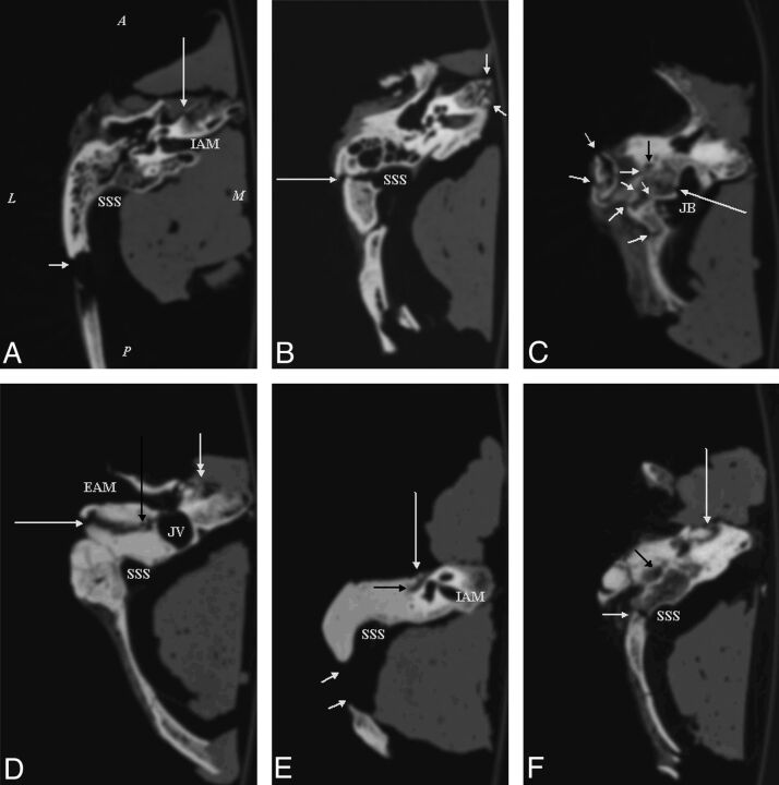 Fig 6.