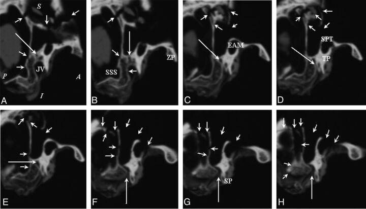 Fig 5.