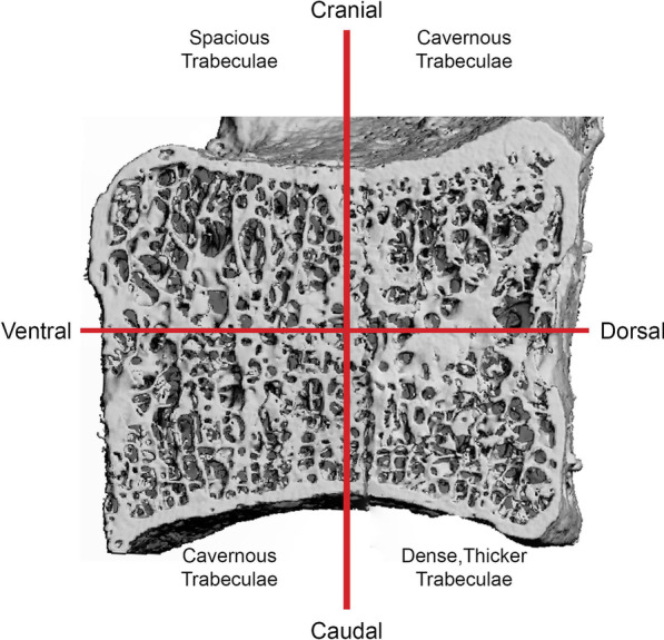 Fig. 7: