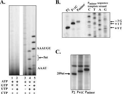 FIG. 2.