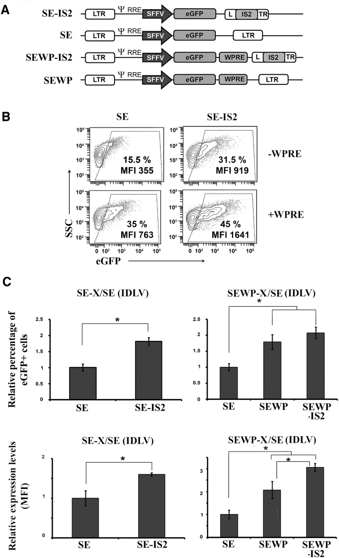 Figure 1