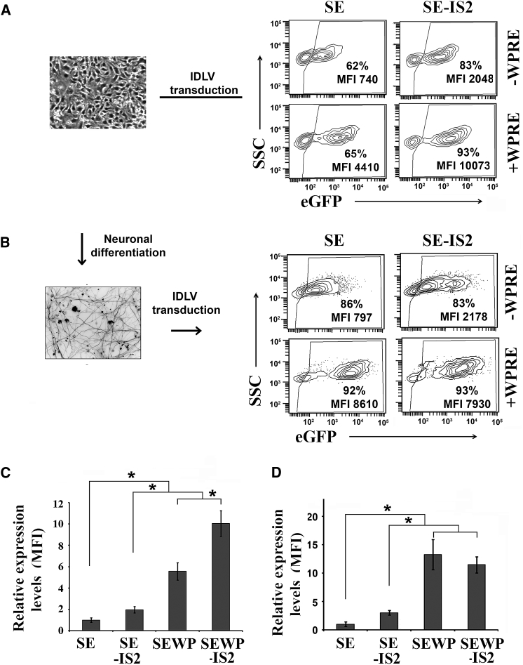 Figure 6