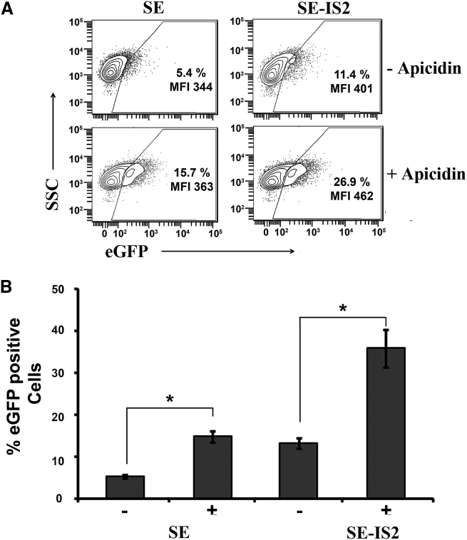 Figure 2