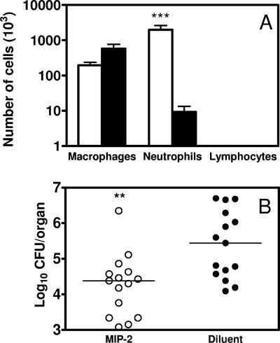 FIG. 10.