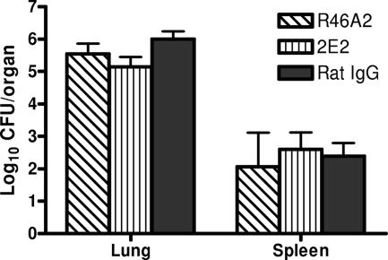 FIG. 11.