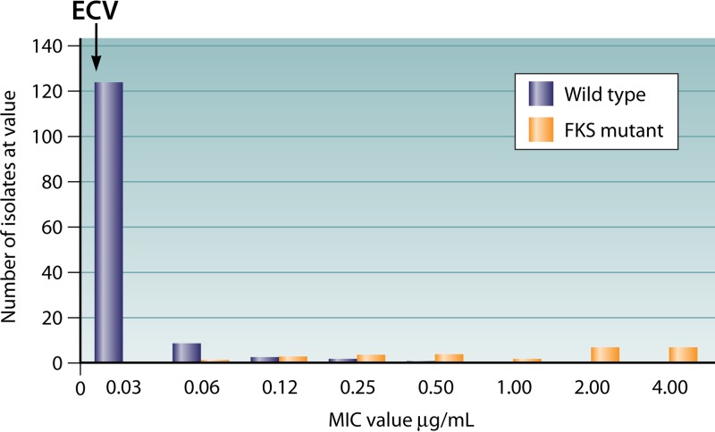 FIG 1