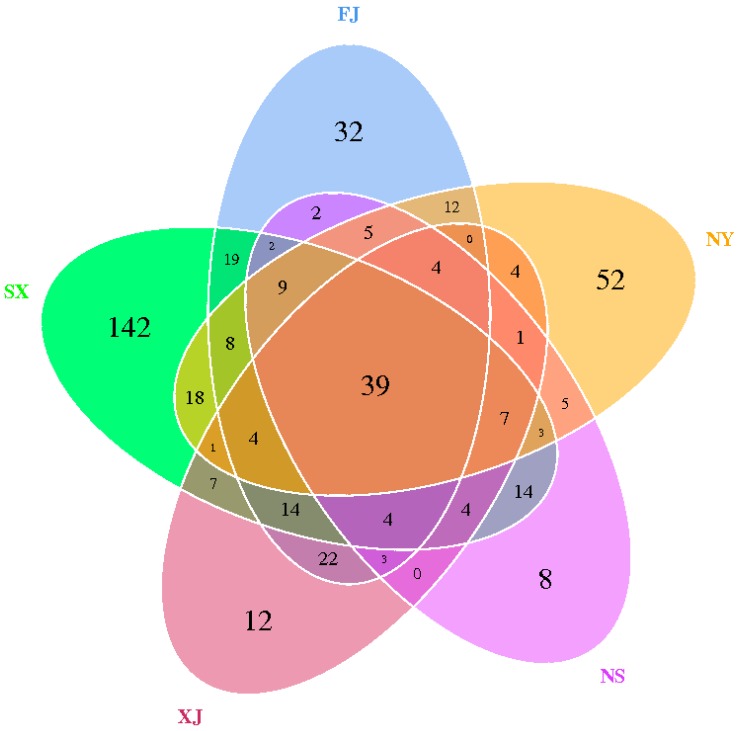 Figure 5