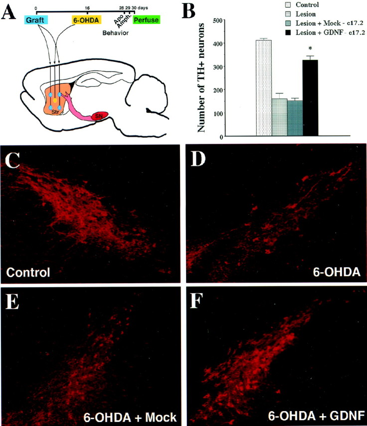 Fig. 7.