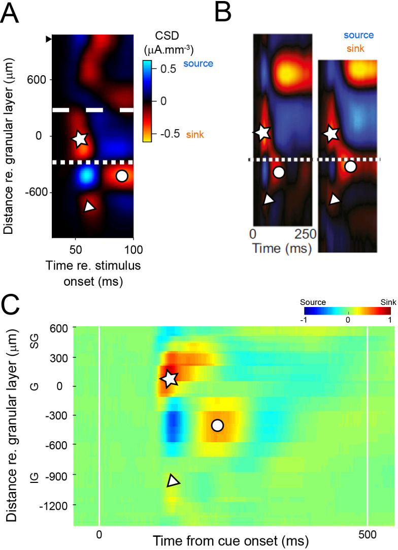 Figure 1—figure supplement 3.