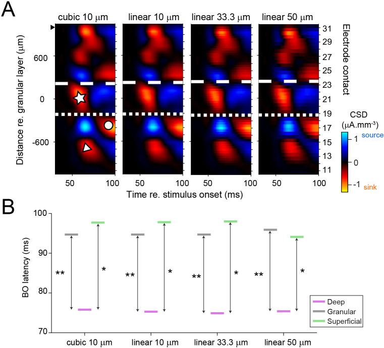 Figure 2—figure supplement 3.