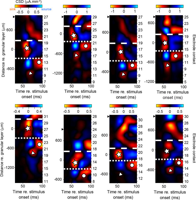 Figure 1—figure supplement 2.