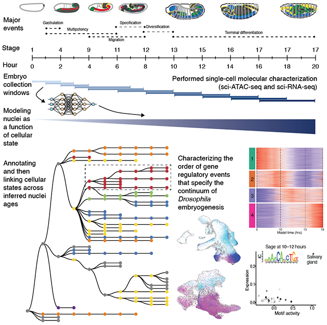 graphic file with name nihms-1828489-f0006.jpg