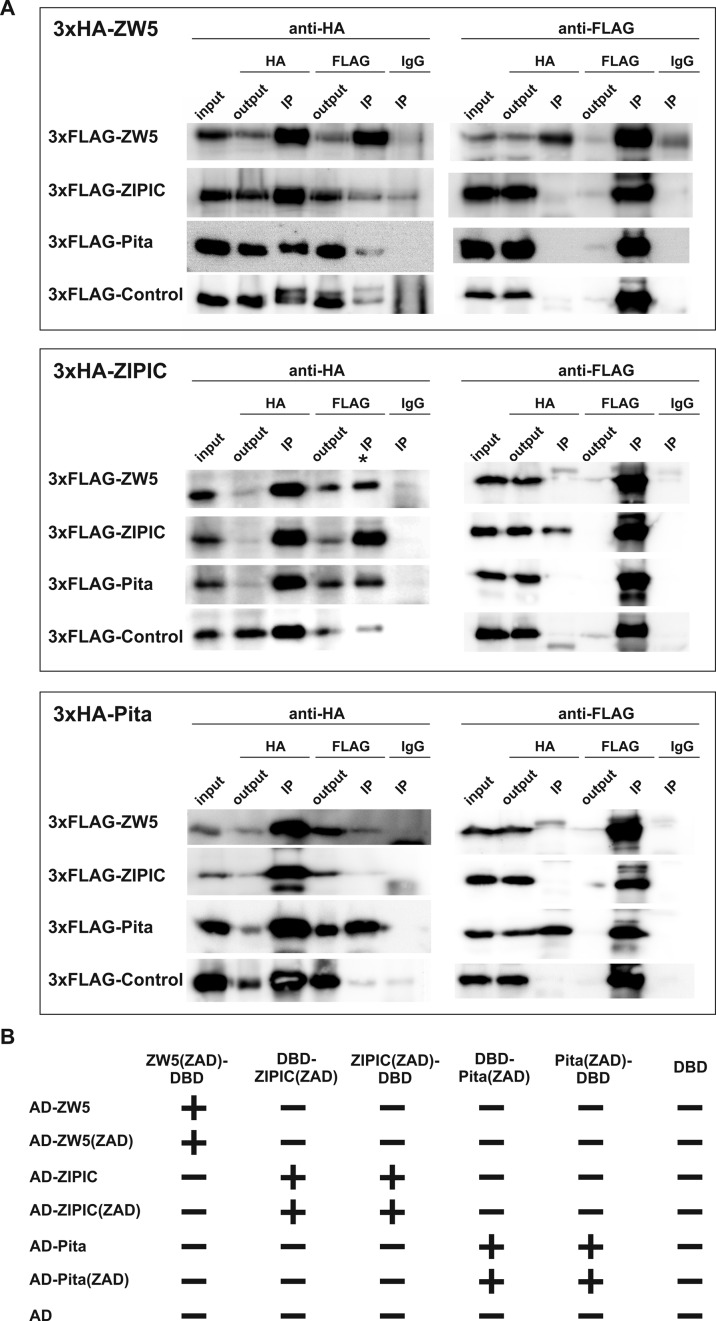 Figure 3.