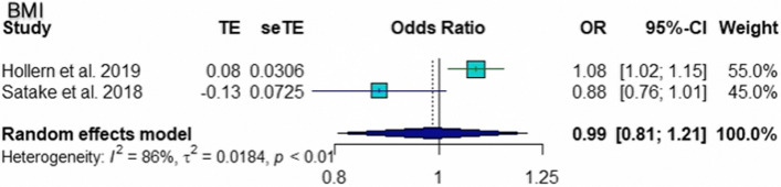 Fig. 6