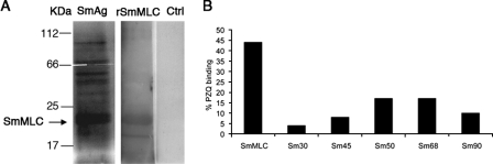 FIG. 5.