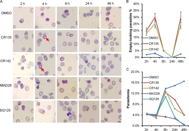 FIG 3