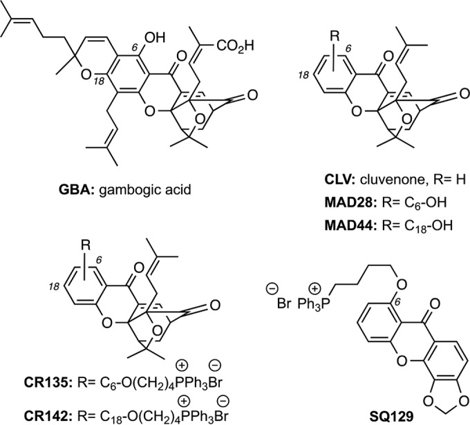 FIG 1