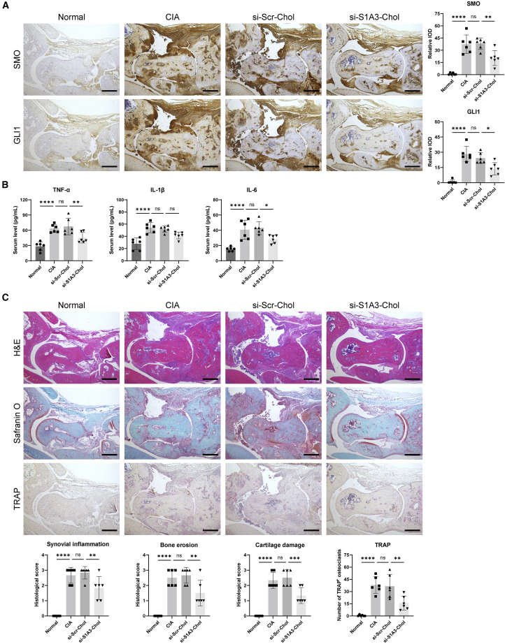 Figure 4