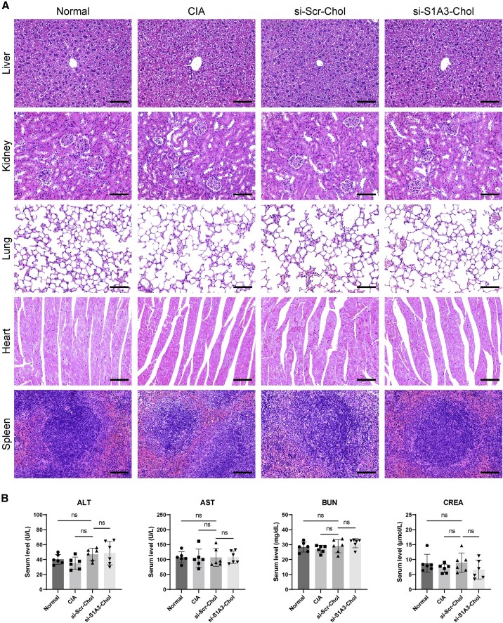 Figure 5