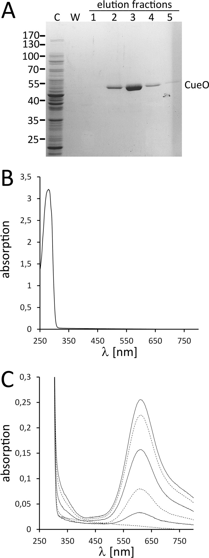 FIGURE 1.