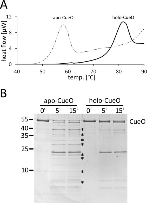 FIGURE 7.