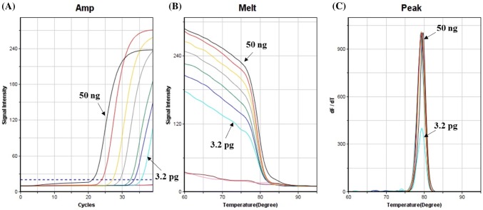 Fig. 2