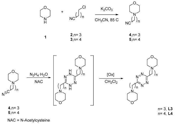 Scheme 1