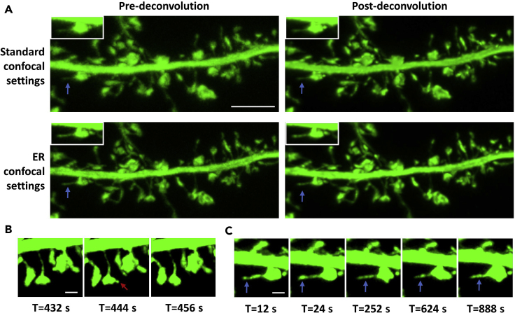 Figure 2