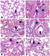 Fig. 12