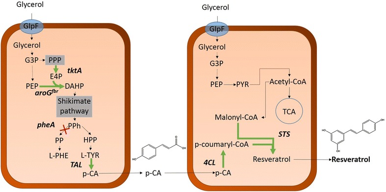 Fig. 2