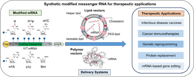 Image, graphical abstract