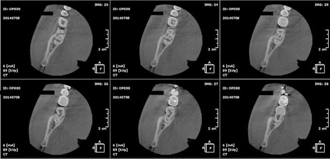 Fig. 7